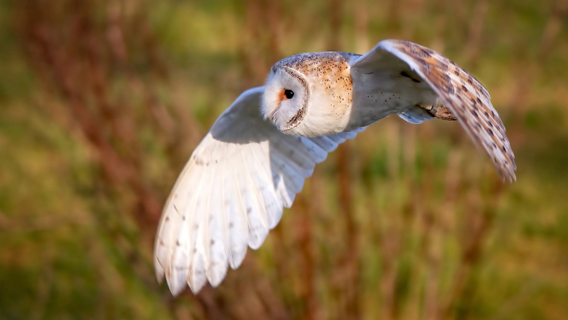 _全天候极限挑战:在不同天气中比拼速度_,极限挑战天气预报美女是谁